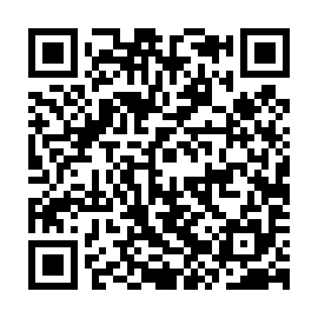 QR code for CZT495