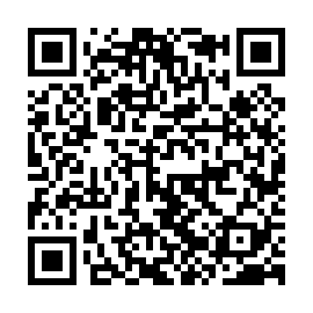 QR code for CZV029