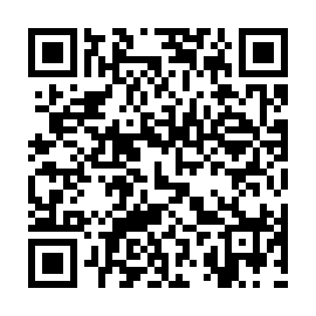 QR code for CZY398
