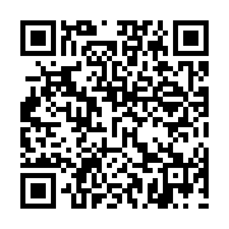 QR code for DAL341