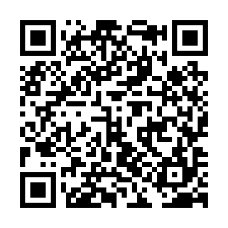 QR code for DAO294