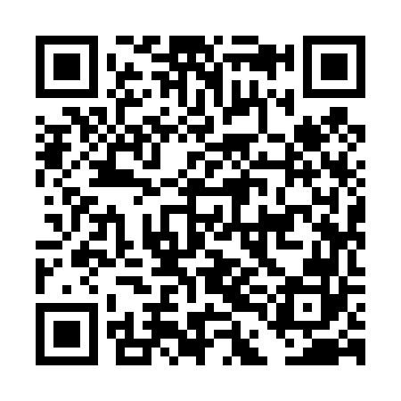 QR code for DDI462