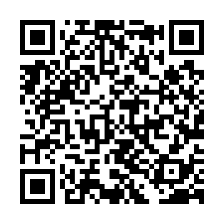 QR code for DDL738