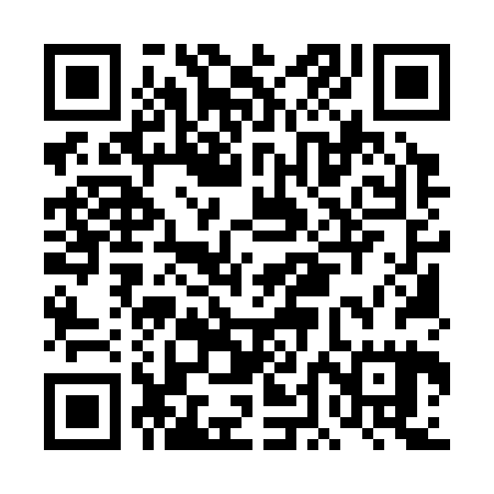 QR code for DDM325