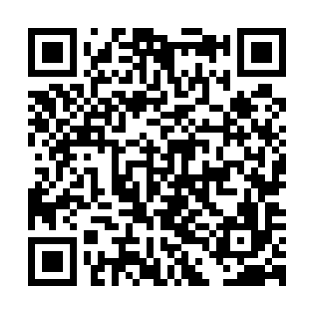 QR code for DDN596