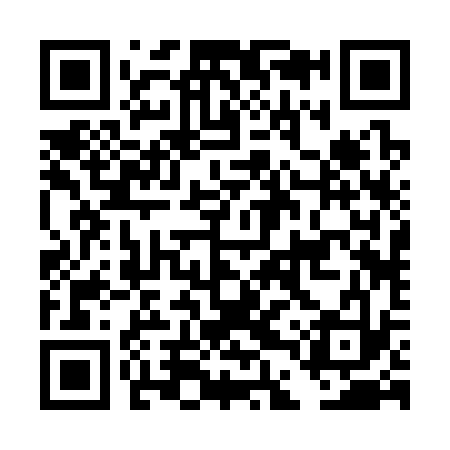 QR code for DDR333