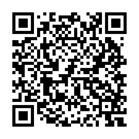 QR code for DDZ286