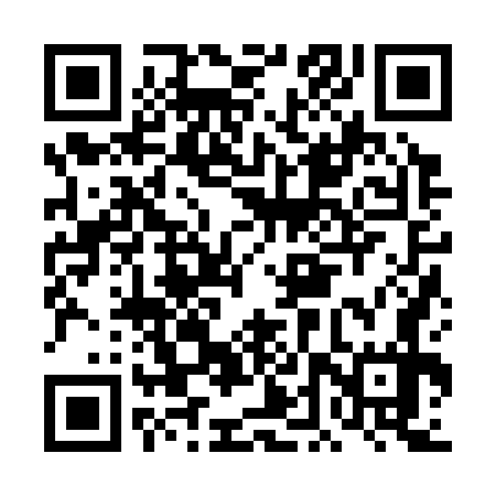 QR code for DDZ377