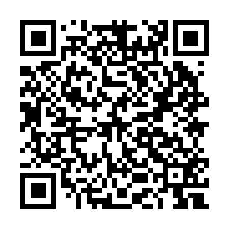 QR code for DEI252