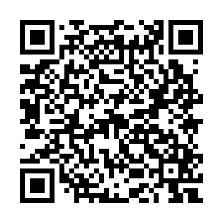 QR code for DEI345