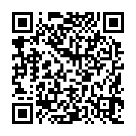 QR code for DEI383