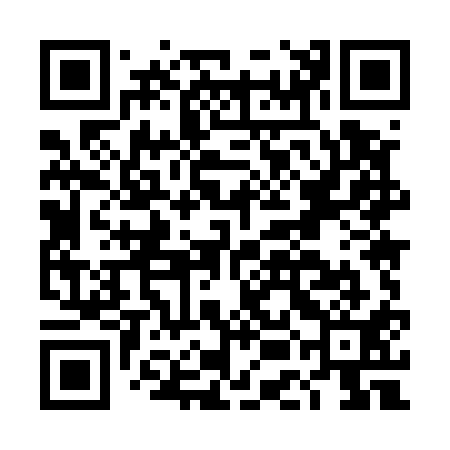 QR code for DEM511