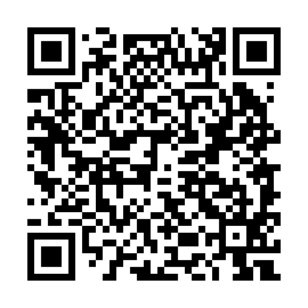 QR code for DET295