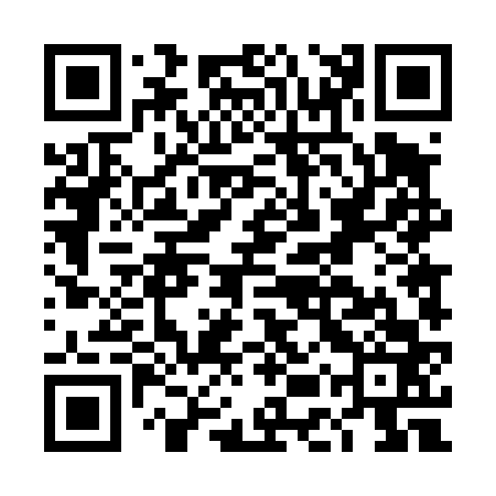 QR code for DET463