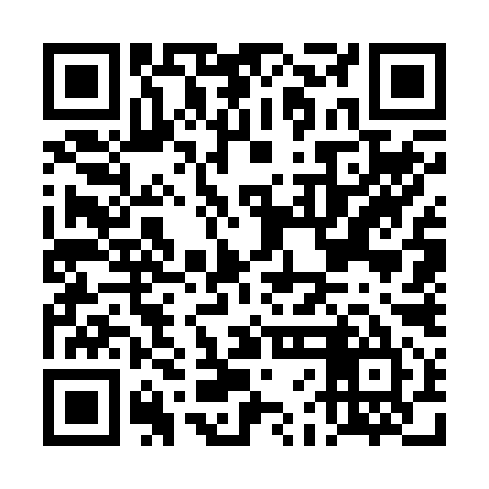 QR code for DFG295