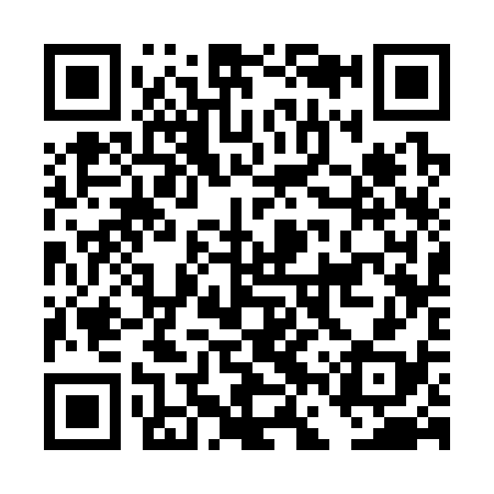 QR code for DFS338