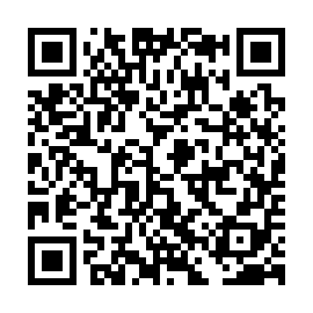 QR code for DFS358