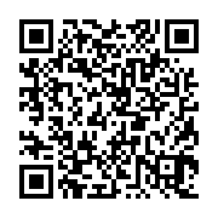 QR code for DFS500