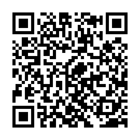QR code for DFT528