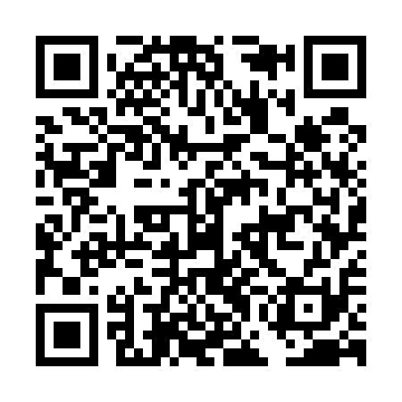 QR code for DGG511