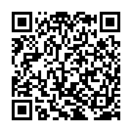 QR code for DHA313