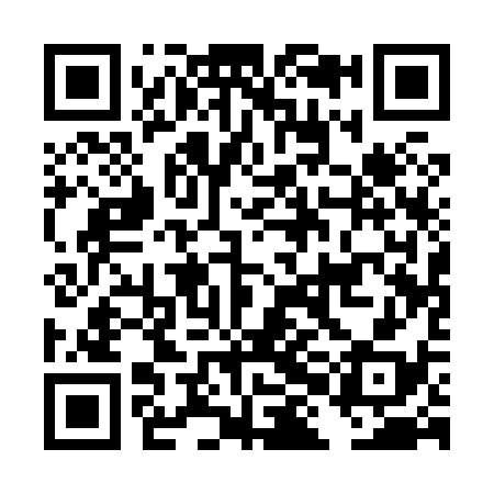 QR code for DHA838