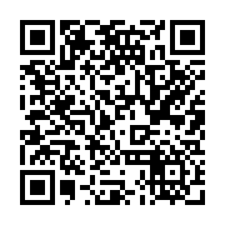 QR code for DHL337