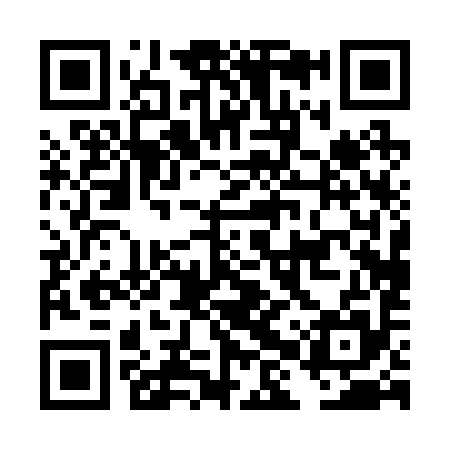 QR code for DHP295