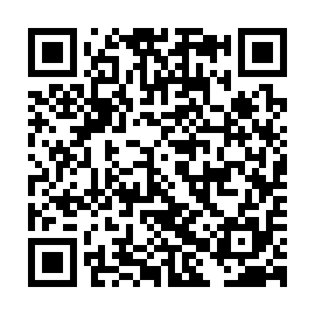 QR code for DHS315