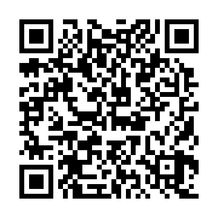 QR code for DIA328