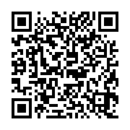 QR code for DIC533