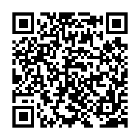 QR code for DIF616