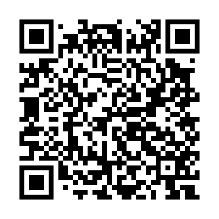 QR code for DIG056