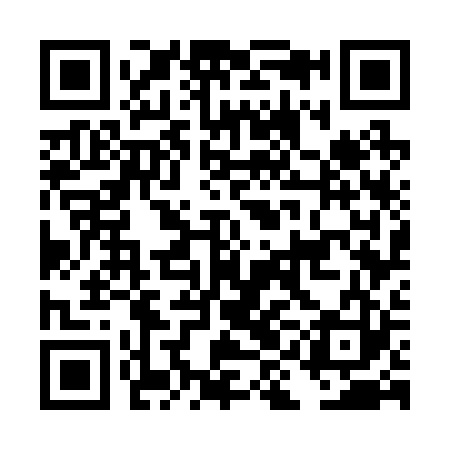 QR code for DIG223