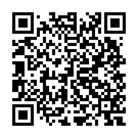 QR code for DIG655