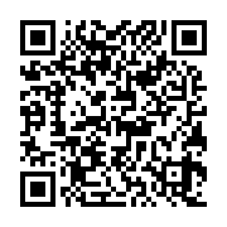 QR code for DIG939