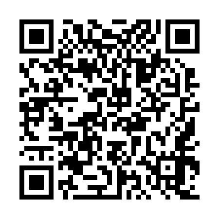 QR code for DII257