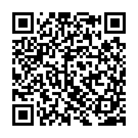 QR code for DII741