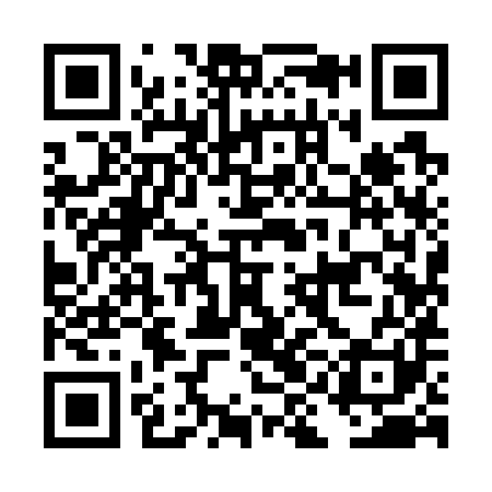 QR code for DII781