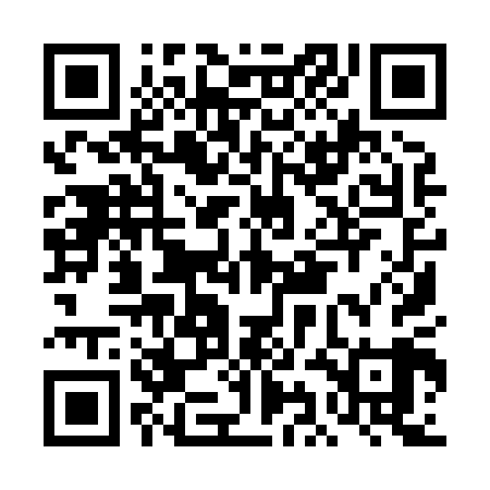 QR code for DII809