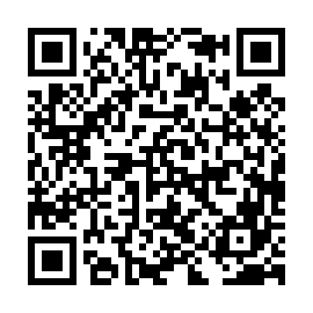 QR code for DIP466