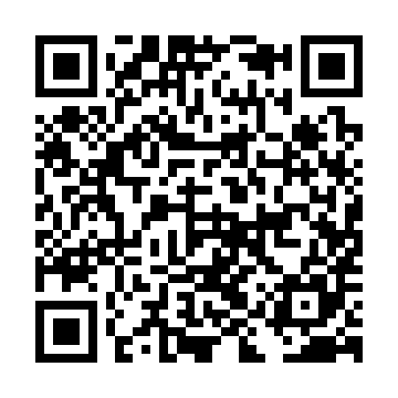 QR code for DIQ385