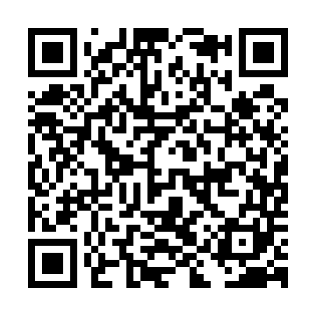 QR code for DIQ541
