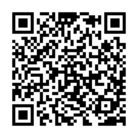 QR code for DIR389