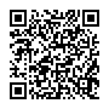 QR code for DIS046
