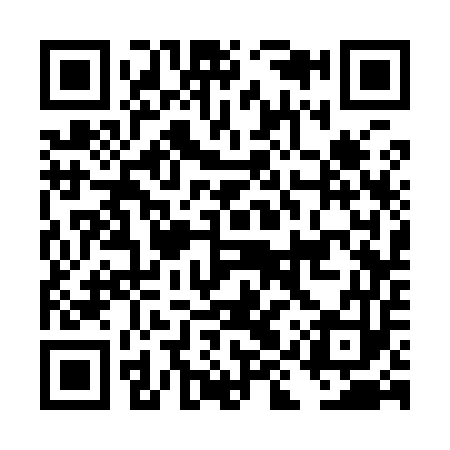 QR code for DIS953