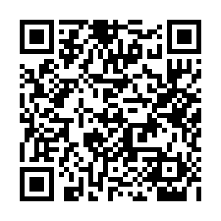 QR code for DIY290