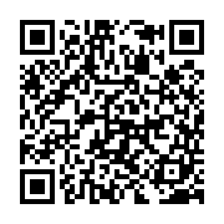 QR code for DIY541
