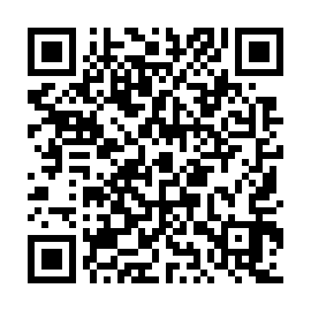 QR code for DIY713