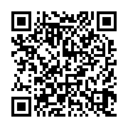 QR code for DIZ209